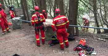 Rescue Crew Member Says Outcome 'Not Positive' at Popular Tourist Attraction After Dog Plunges 60 Feet Into Gorge