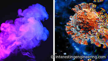 Scientists Just Cured the Coronavirus With Inhalable Nanobodies - Interesting Engineering
