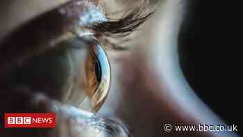 Algae proteins partially restore man's sight