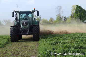 Riesa: Mit dem Traktor durch die Erdbeeren - Sächsische.de