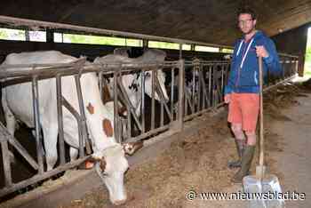 Karel (36) vormt melkveeboerderij van grootouders en vader om tot biobedrijf: “Het zal de eerste twee jaar niet makkelijk zijn”