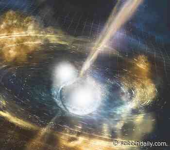 Deciphering the Lives of Double Neutron Stars Using the Ripples in the Fabric of Space and Time