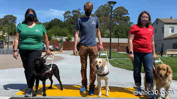 Guide Dogs for the Blind provides independence through the use of trained dogs for the blind