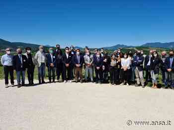 Regioni: a Matelica lavori Osservatorio politiche agricole - Agenzia ANSA