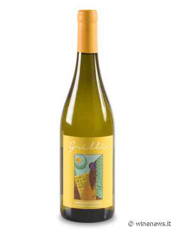 Villa Collepere, Doc Verdicchio di Matelica Grillì 2019 - WineNews