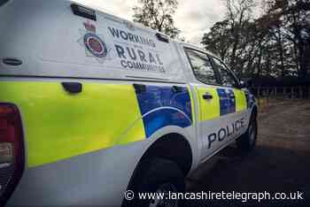 Police caution 37-year-old woman after incident of 'sheep worrying' in Pendle