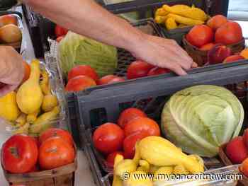 Maynooth Farmers Market set for Saturday opening - mybancroftnow.com