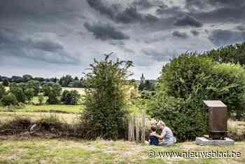 Bewoners zetten via fotowedstrijd schoonheid van eigen gemeente in de kijker - Het Nieuwsblad