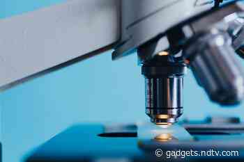 Scientists Find the Maximum Limits of Human Life Through Study of Blood Markers