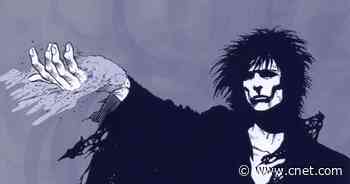 DC Comics and Netflix reveal The Sandman cast, pronouns and all     - CNET