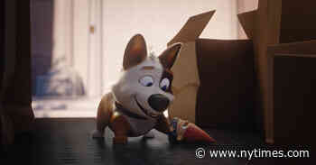 ‘Dog Gone Trouble’ Review: New Dog, Same Tricks