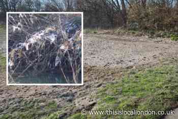 New Malden: Thames Water fined after 'catastrophic' sewage