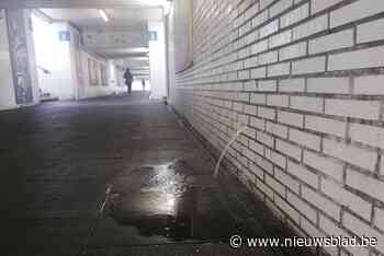 Vernieuwing station start pas volgend jaar “maar voor herstelling lekkende tunnel is geen geld uitgetrokken” - Het Nieuwsblad