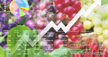 Accounting for all the pluses and minuses in food systems | Greenbiz - GreenBiz
