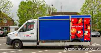 Tesco launching new one-hour food delivery service for busy households in the UK - The Mirror