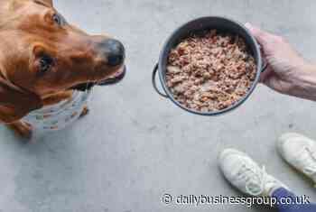 Bella & Duke grows to meet healthy pet food demand - Daily Business