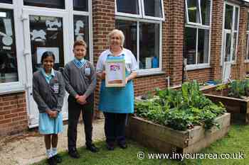 Chelmsford school awarded Food for Life Bronze Award - In Your Area