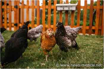 Diet quality and food security are affected by home food procurement during COVID-19 - News-Medical.Net