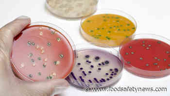 Meat slicer linked to Listeria infections in Italian hospital - Food Safety News