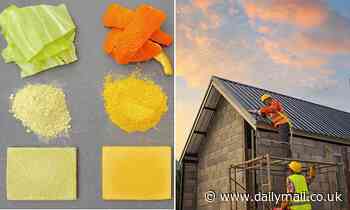Scientists turned food scraps like banana peels, and cabbage leaves into construction materials - Daily Mail