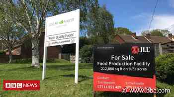 Oscar Mayer: Help for Chard's job risk food factory workers - BBC News