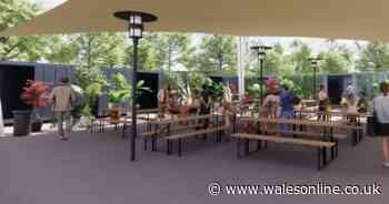 Newport's new shipping container food court plans to 'attract people from all over' - Wales Online