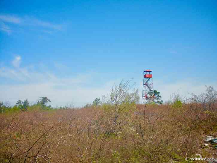 Wurtsboro Ridge State Forest Hike