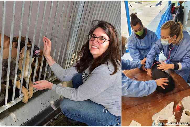 Fokker die 68 honden afstond omdat hij ze geen eten meer kon geven, werd depressief nadat eigen vader werd doodgebeten: “Maak hem niet helemaal af”