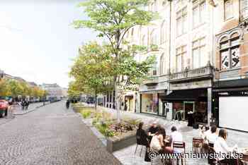 Extra bomen, groen en zitbanken moeten beleving op IJzerenleen verhogen