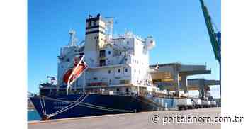 Após Porto de Imbituba passar a variar cargas, operações de celulose completam um ano com mais de 200 mil toneladas movimentadas - Portal AHora