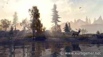Elder Scrolls Online's next-gen update delayed by a week - Eurogamer.net