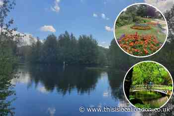 London charity launches campaign to promote Merton parks
