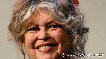 Arras : Brigitte Bardot ne viendra finalement pas au tribunal, certificat médical à l'appui - La Voix du Nord
