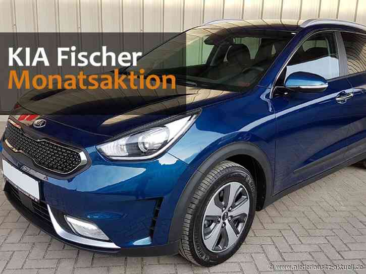 KIA Fischer mit Monatsaktion: KIA Niro Hybrid mit Umweltbonus zum Top-Preis