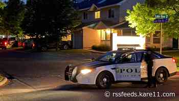 Woodbury mother charged with attempted murder after alleged attack on children