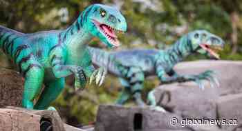 New ‘Dinosaurs: Awakened’ exhibit opens at the Calgary Zoo this weekend