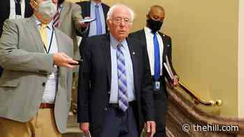Democrats introduce bill allowing college athletes to organize