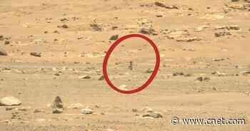 NASA Mars Ingenuity helicopter survives 'in-flight anomaly'     - CNET