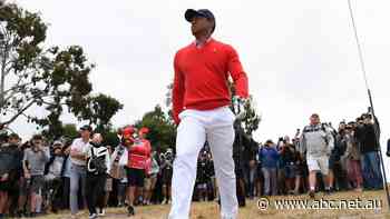 Tiger Woods' number one goal is 'walking on my own' as he does 'painful' rehab