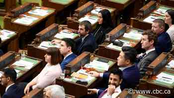 Dozens of MPs stand to lose access to pensions if they're defeated in an early election