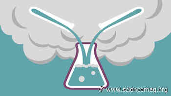 'Dear those in charge': A scientist's coronavirus impact statement - Science Magazine