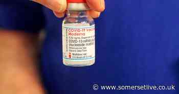 Somerset records 10 further cases of coronavirus in latest figures - Somerset Live