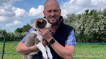 Meet the Preston puppy with a £7.6k price tag