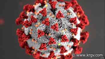 Cameron County reports 2 coronavirus-related deaths, 35 new cases of COVID-19 - KRGV