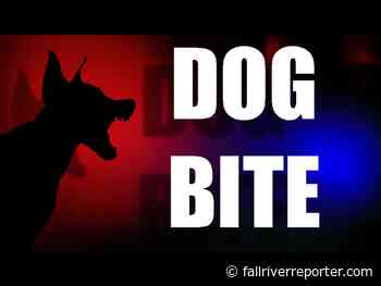 Two sent to Rhode Island Hospital after Fall River dog attack - Fall River Reporter