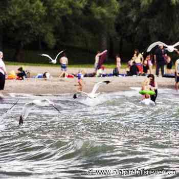 Wainfleet braces for another hectic year at beaches - NiagaraFallsReview.ca