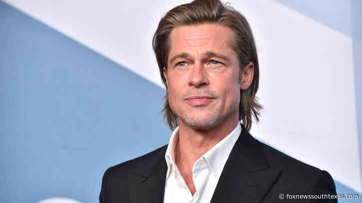 Brad Pitt awarded temporary joint custody of his six children, sources say