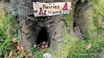 Schock für Hobbykünstlerin: Fantasievoller Elfenwald im Wildecker Tal wurde geplündert - HNA.de