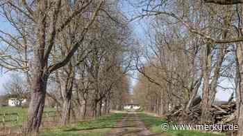 Diskussion um Weg an Starnberger Gestüt: 150 Meter nicht öffentlich gewidmet - Merkur Online