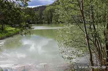 Erholungsse bei Hardheim: Ein Schönes Ziel für Spaziergänger und Radfahrer - Fränkische Nachrichten